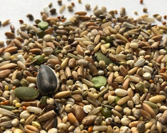 Robin's Seed Blends for Hamsters and Gerbils | Seed mix base | 250g