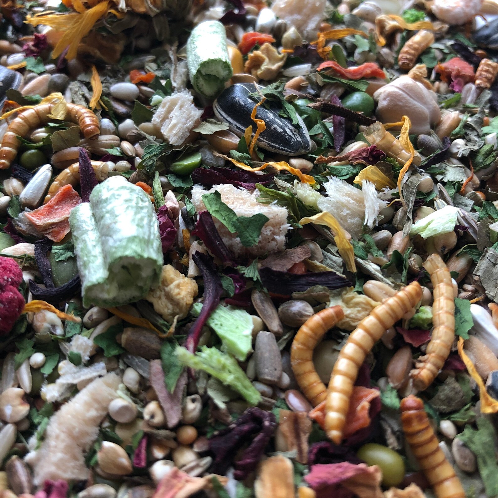 500g Syrian Hamster PelletFree Food Mix Robin's Gourmet Etsy