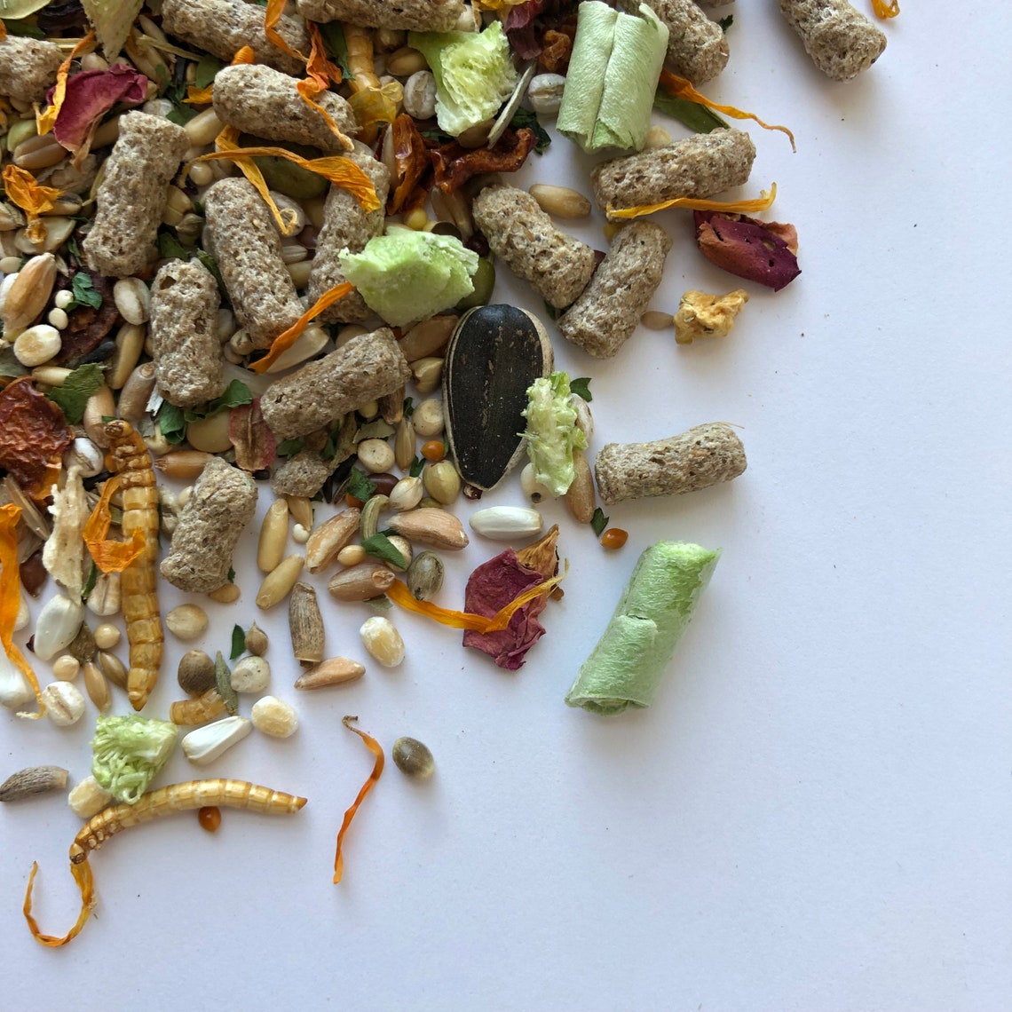 500g Syrian Hamster Food Mix with Pellets Robin's Etsy