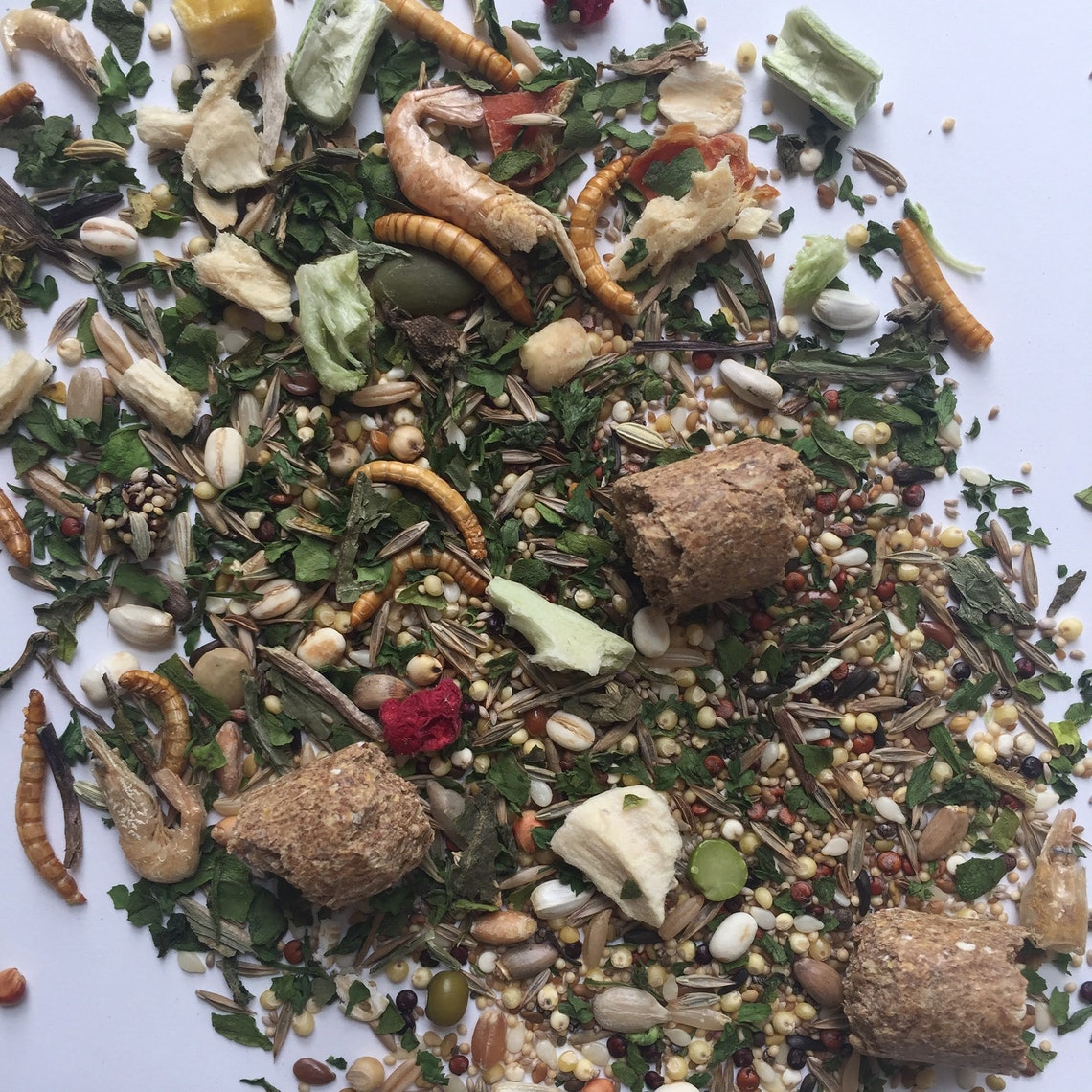 500g Roborovski Dwarf Hamster Food Mix with Pellets Etsy