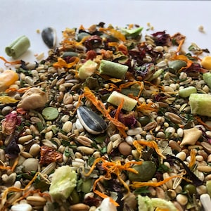 500g Basic Syrian Hamster Food Mix | Robin&#39;s Basic Food Mixes | NO ADDED ANlMAL PROTEIN