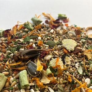 500g Pellet-Free Gerbil Food Mix | Robin&#39;s Gourmet Gerbil Food Mixes
