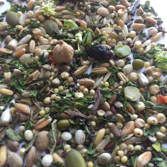 100g Basic Syrian Hamster Food Mix Trial Package Etsy