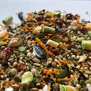 100g Basic Syrian Hamster Food Mix | Trial Package | Robin&#39;s Basic Food Mixes | NO ADDED ANlMAL PROTEIN