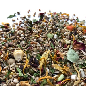 100g Basic Roborovski Dwarf Hamster Food Mix | Trial Package | Robin&#39;s Basic Food Mixes | NO ADDED ANlMAL PROTEIN