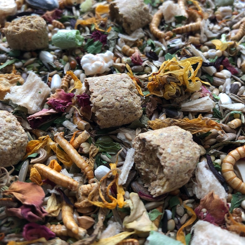 500g Roborovski Dwarf Hamster Food Mix With Pellets Etsy