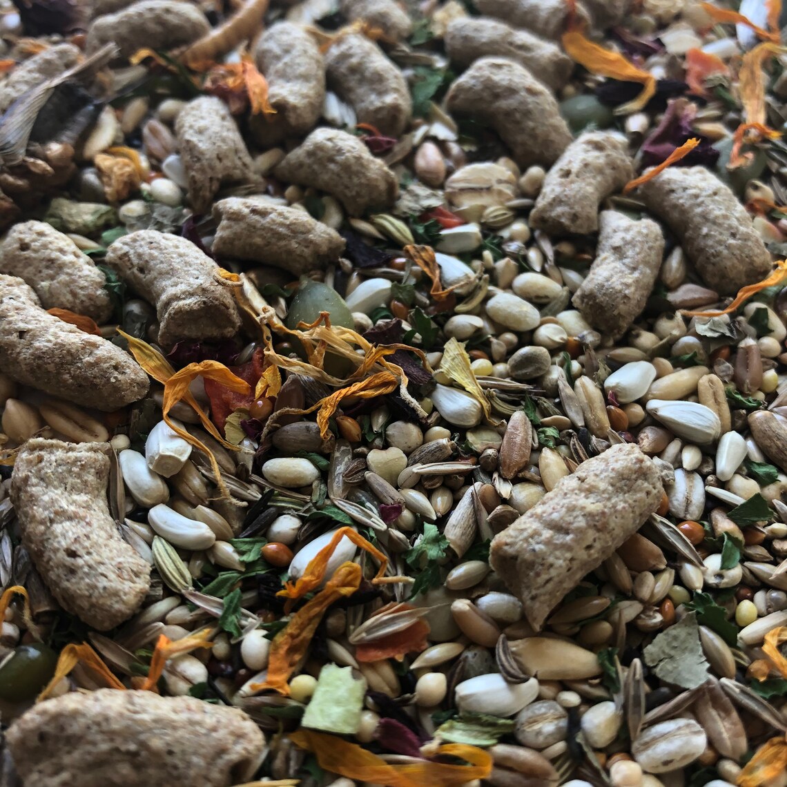 100g Gerbil Food Mix with Pellets Trial Package Etsy