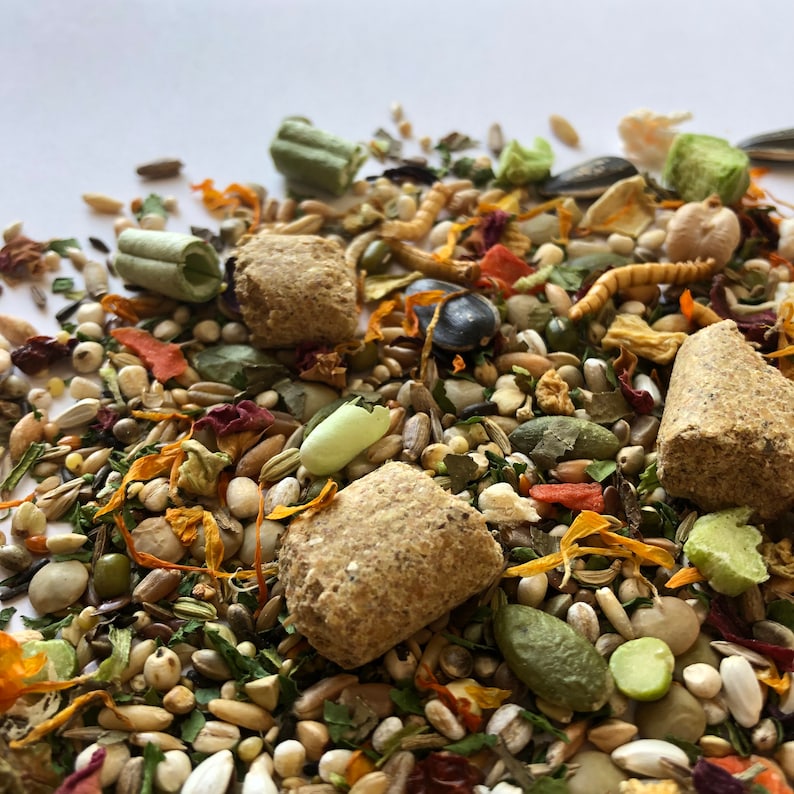 500g Syrian Hamster Food Mix With Pellets Robin's Etsy