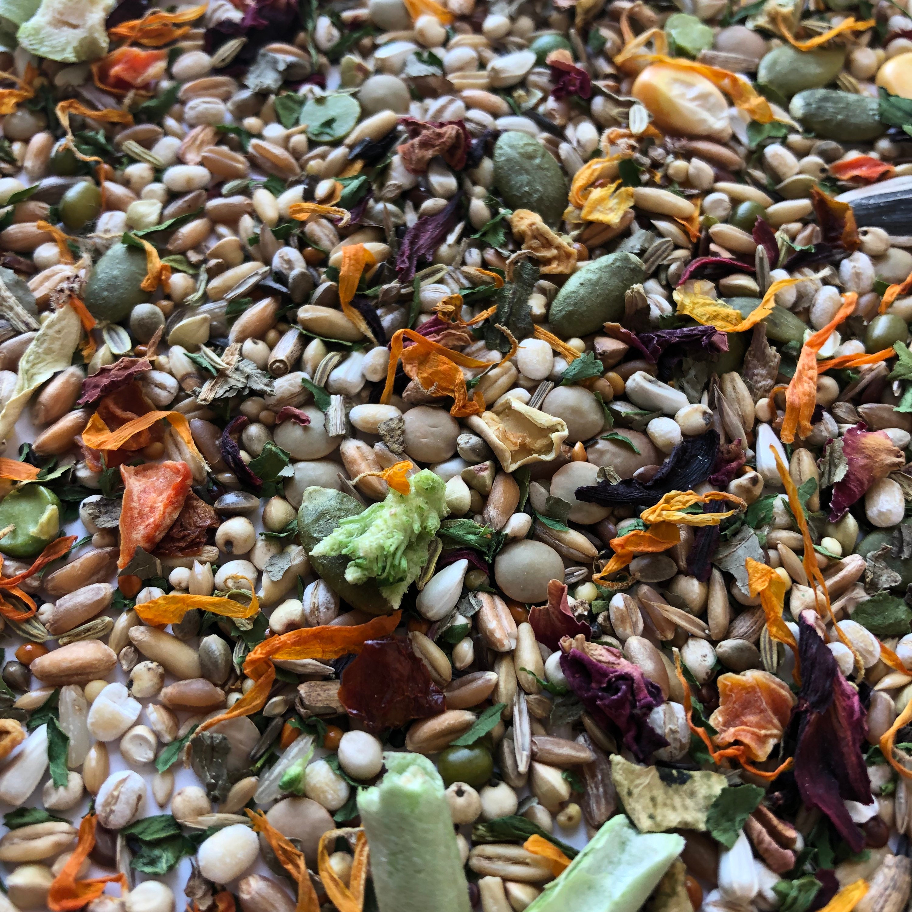 500g Basic Syrian Hamster Food Mix Robin's Basic Food Etsy