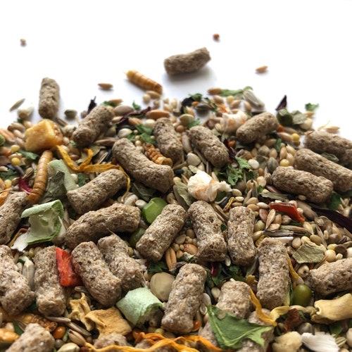 500g Syrian Hamster Food Mix With Pellets Robin's Etsy