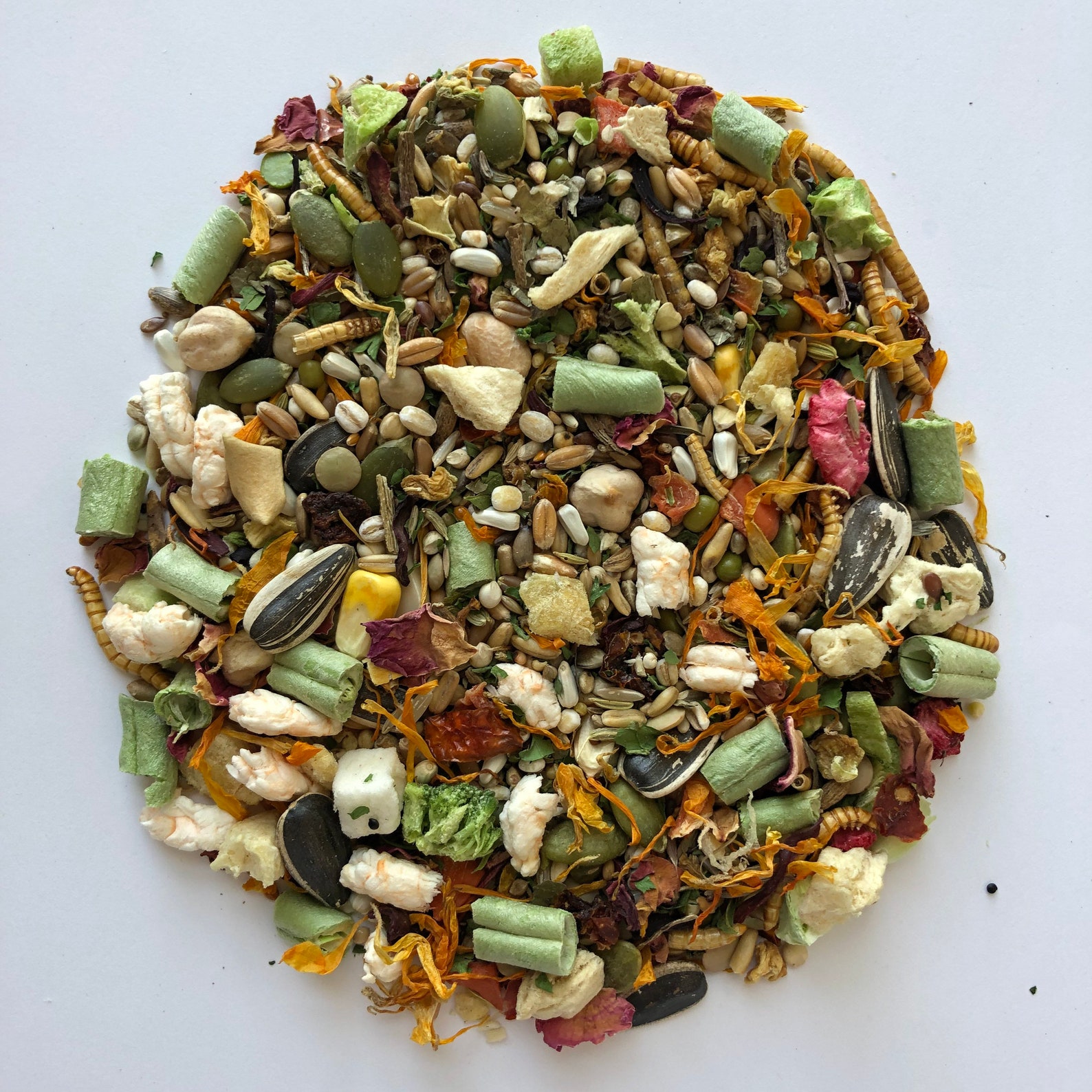 100g Syrian Hamster Pelletfree Food Mix Trial Package Etsy