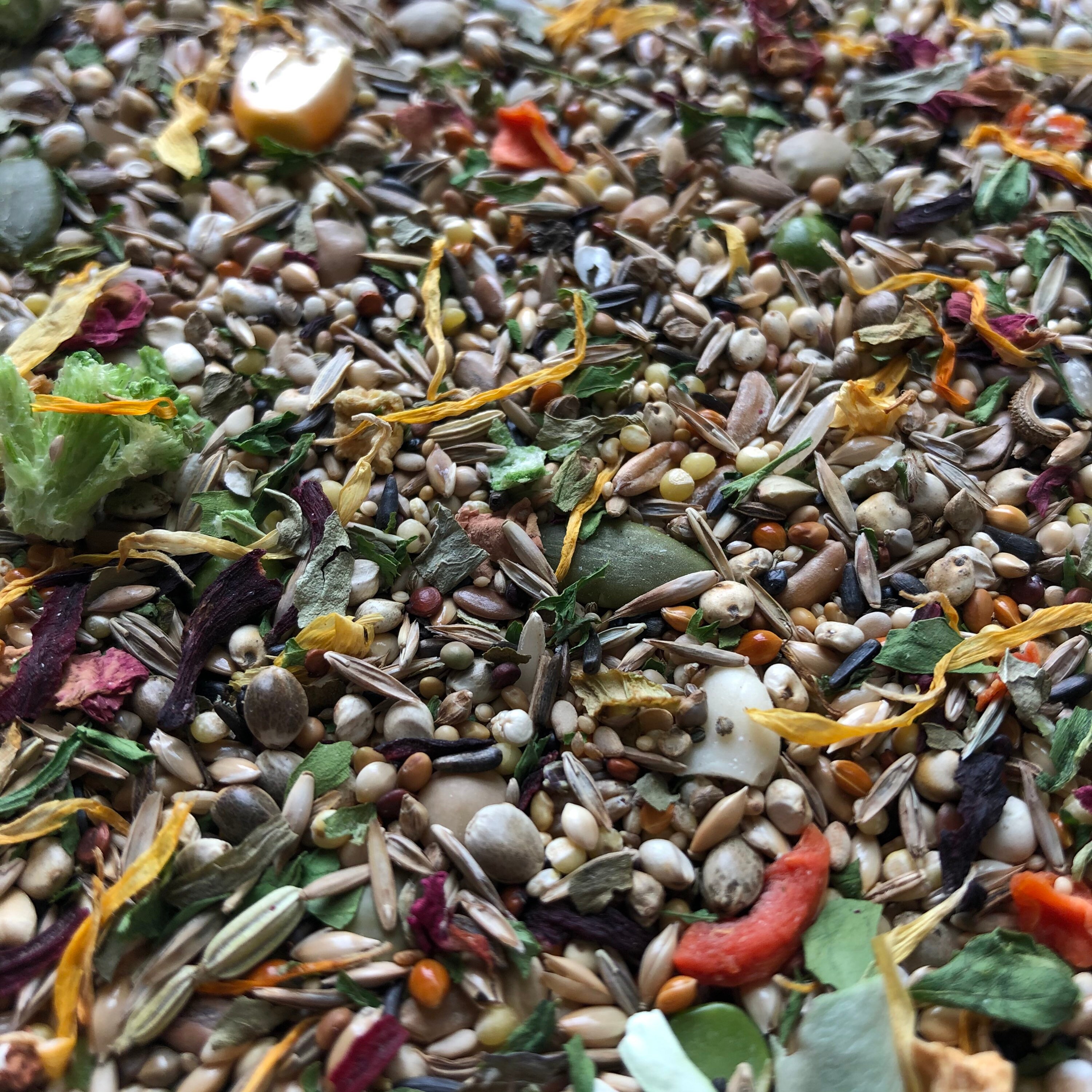 500g Basic Roborovski Dwarf Hamster Food Mix Robin's Etsy