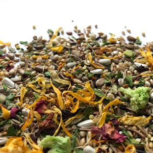 500g Basic Russian/Chinese Dwarf Hamster Food Mix | Robin&#39;s Basic Food Mixes | NO ADDED ANlMAL PROTEIN