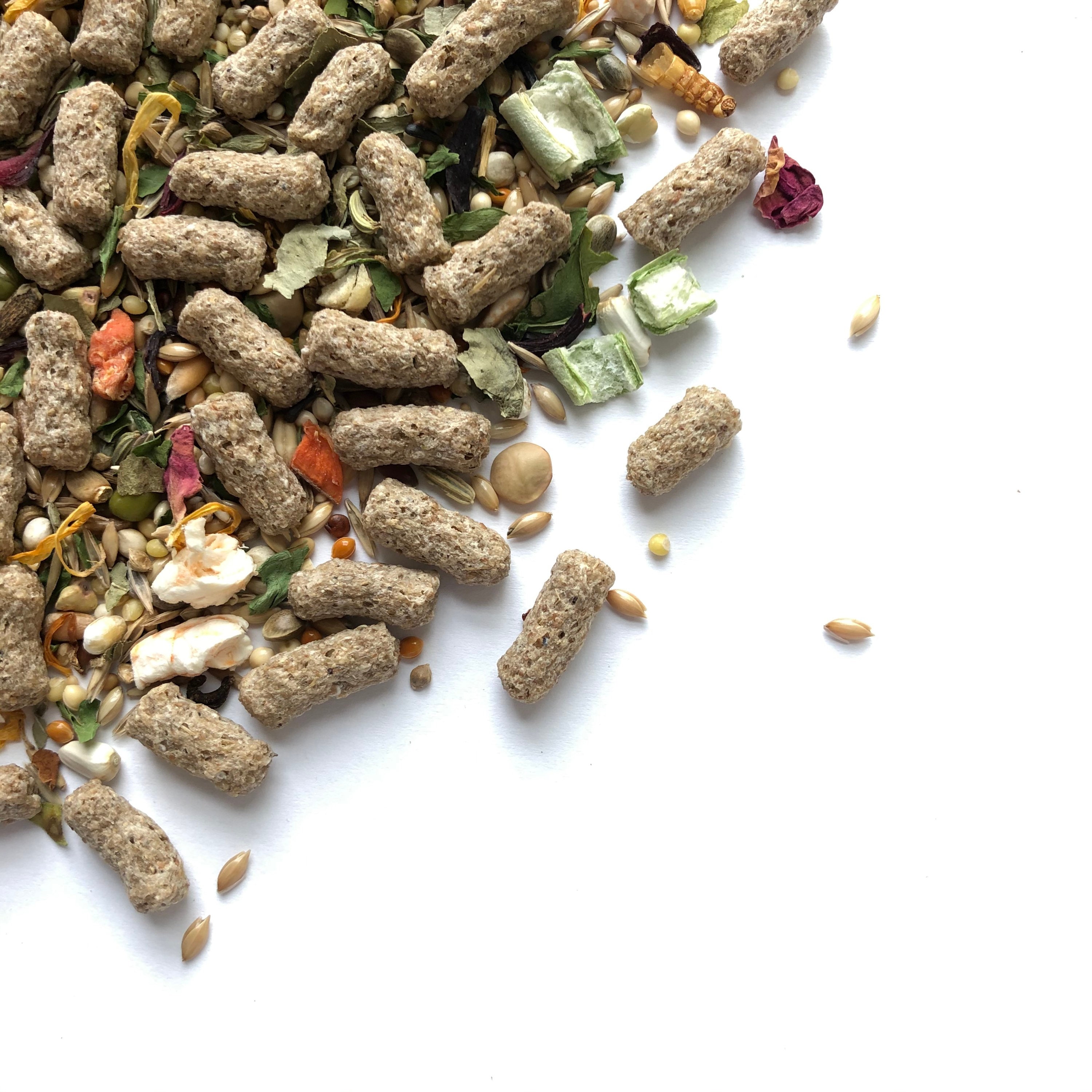 100g Roborovski Dwarf Hamster Food Mix With Pellets Trial Etsy UK