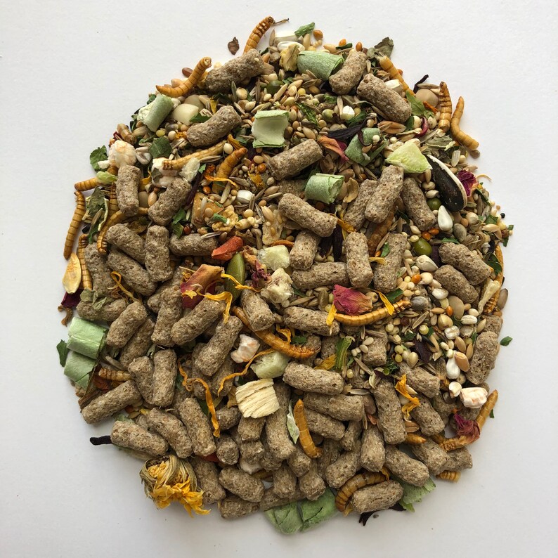 500g Roborovski Dwarf Hamster Food Mix With Pellets Etsy