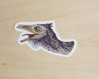 Archaeopteryx Dinosaur Sticker