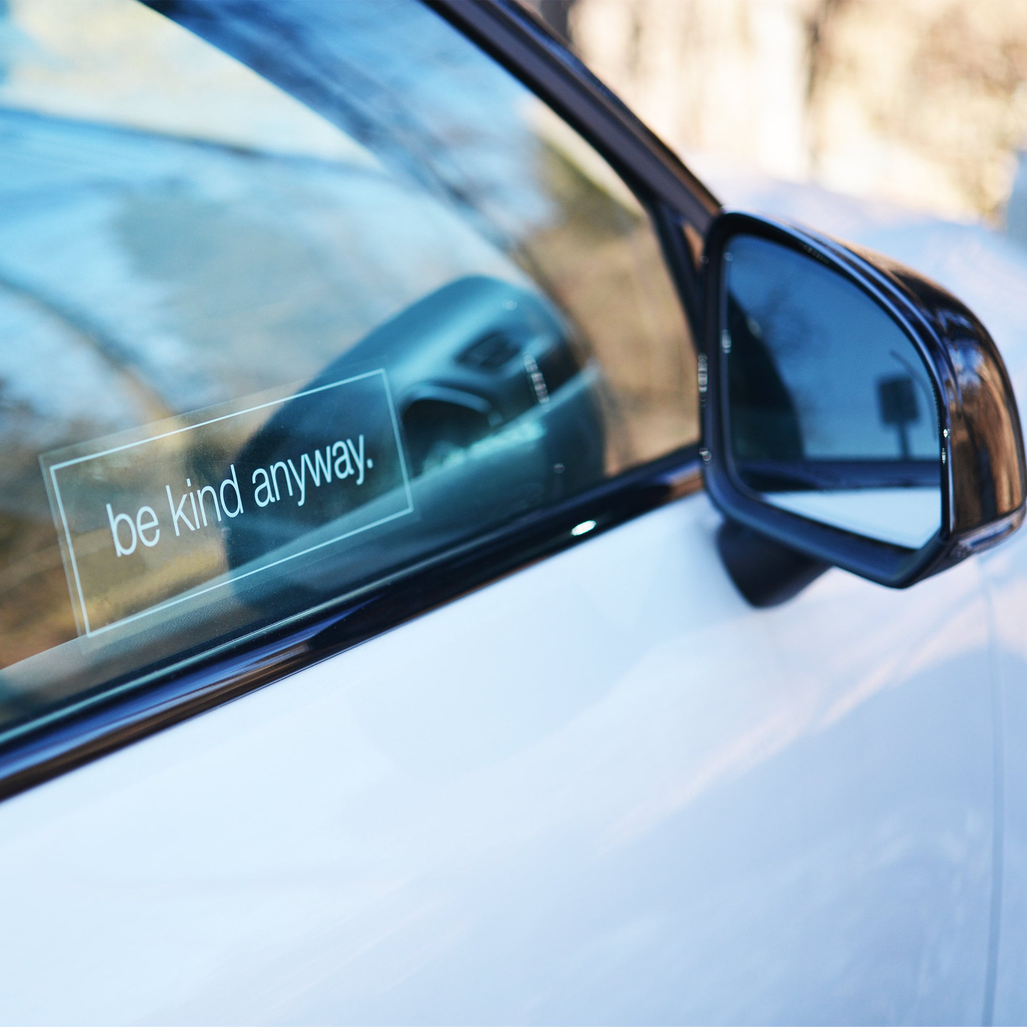 Static Cling 'be kind anyway.' - Non Adhesive - Reusable - White Ink - Inside Windows - Mirrors