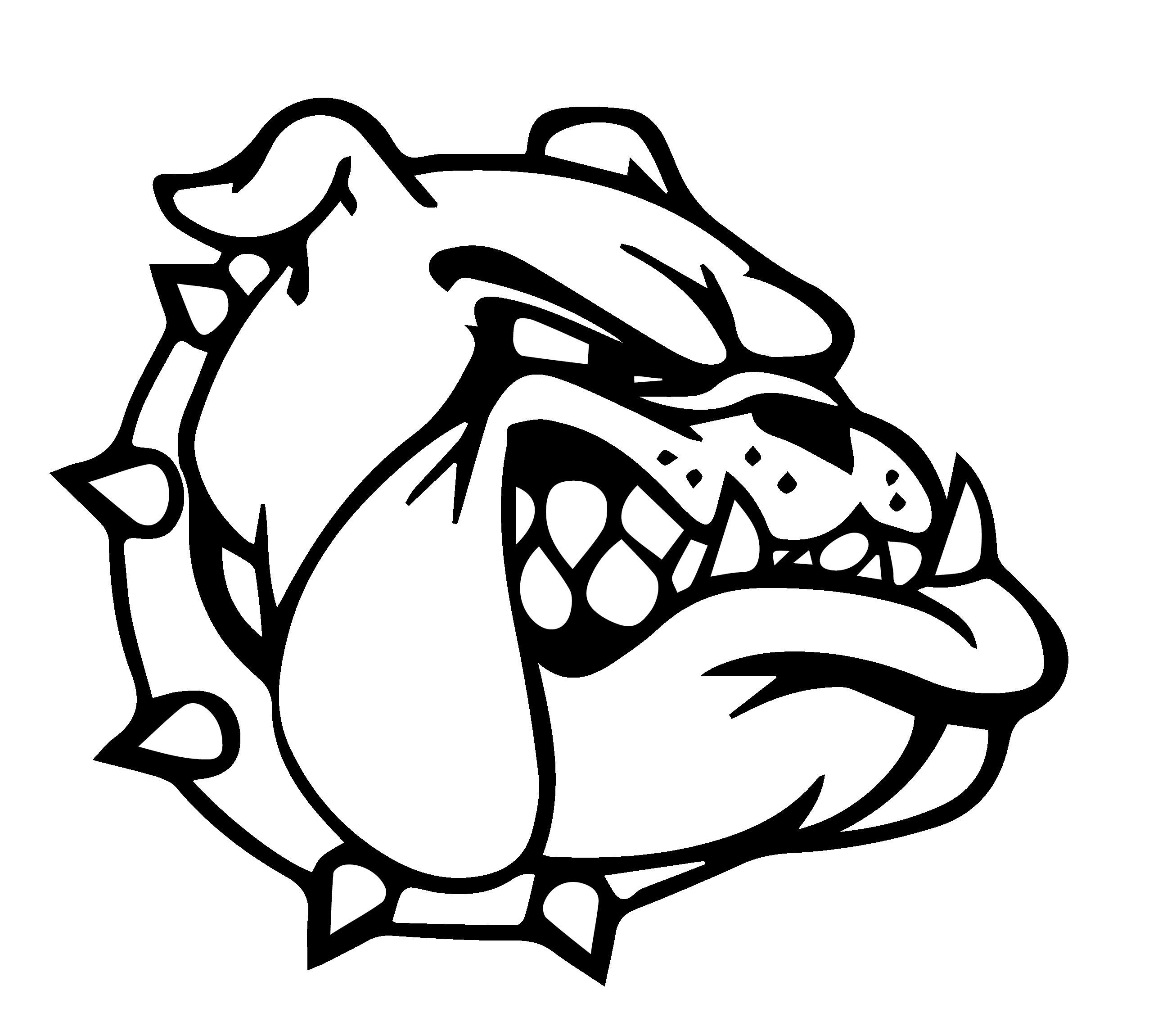 Bulldog Drawings Mascot Sketch Coloring Page