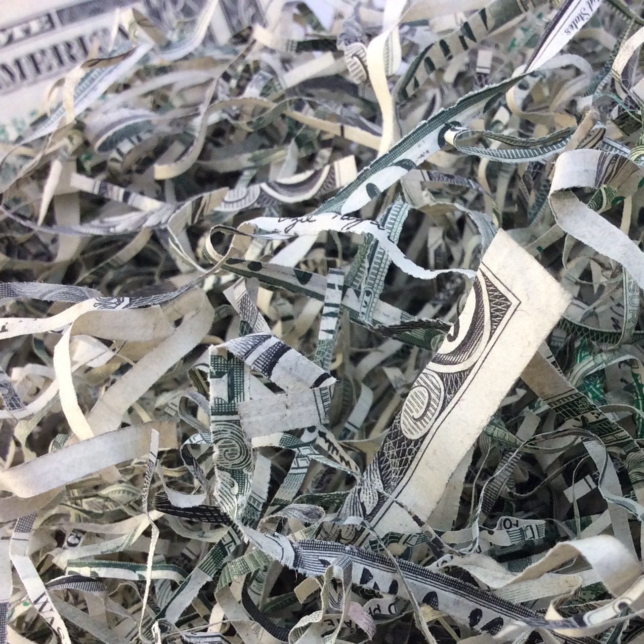 CRAFTY CASH Long Shredded Genuine US Paper Money Etsy