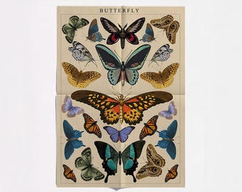 Vintage Butterfly Botanical Print: Cottagecore Nature Art (Digital Download)