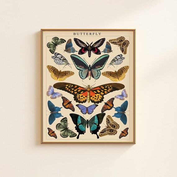 Vintage Butterfly Poster – Botanical Wall Art Print, Antique Butterfly Illustration, Digital Download for Home Decor
