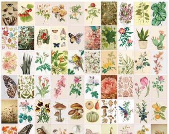 70pcs PRINTED Cottagecore Wall Collage Kit Vintage Plant Pictures, 4x6" Printed Aesthetic Indie Room Decor Prints with 20 stickers extra