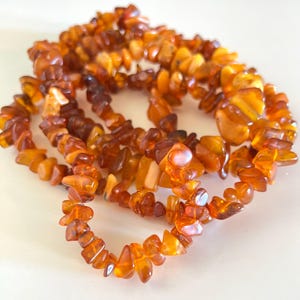 Può includere: Una collana composta da pietre d'ambra lucidata. I pezzi d'ambra variano per dimensioni e forma, mostrando una gamma di toni caldi e terrosi, dal giallo chiaro al marrone scuro. La collana è disposta in un motivo fluido e organico.