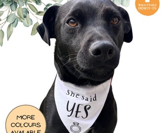 May include: A black dog wearing a white bandana with the text "She said YES" and a ring icon. The bandana is for a pet and is available in multiple colors.