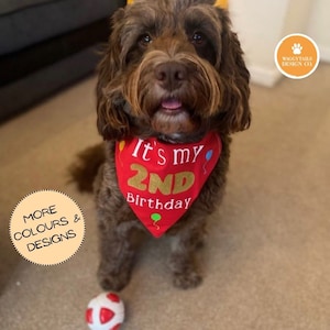 Personalised Dog Birthday Bandana | Birthday Dog Bandana, Dog Birthday Gift | Customise age & name birthday dog bandana for dogs birthday