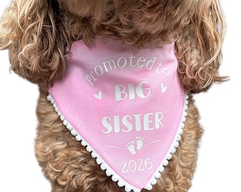 Personalised Baby Announcement Dog Bandana | Big Brother/Sister | Custom colour & size | Pregnancy reveal Dog Bandana