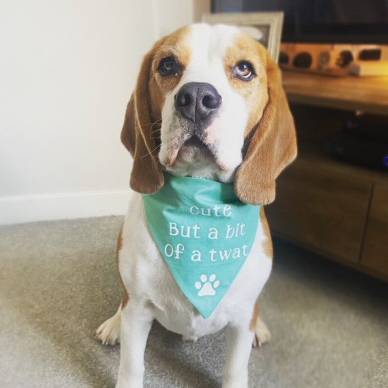 Bandana de perro divertido personalizado / Accesorios para mascotas, Bandana de perro lindo / Regalo para los amantes de los perros, Regalo de cumpleaños del perro imagen 2