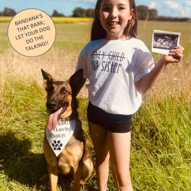 May include: A girl wearing a white t-shirt with the text "Only Child" crossed out and "Big Sister" written below it. She is holding an ultrasound image in her right hand. A German Shepherd dog is sitting next to her wearing a bandana that says "What's having a baby!"