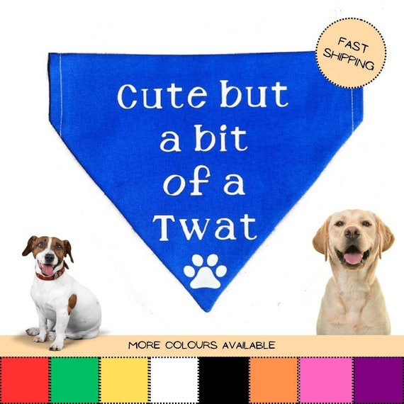 Personalised Funny Dog Bandana | Pet Accessories, Cute Dog Bandana | Gift for Dog Lovers, Dog birthday present