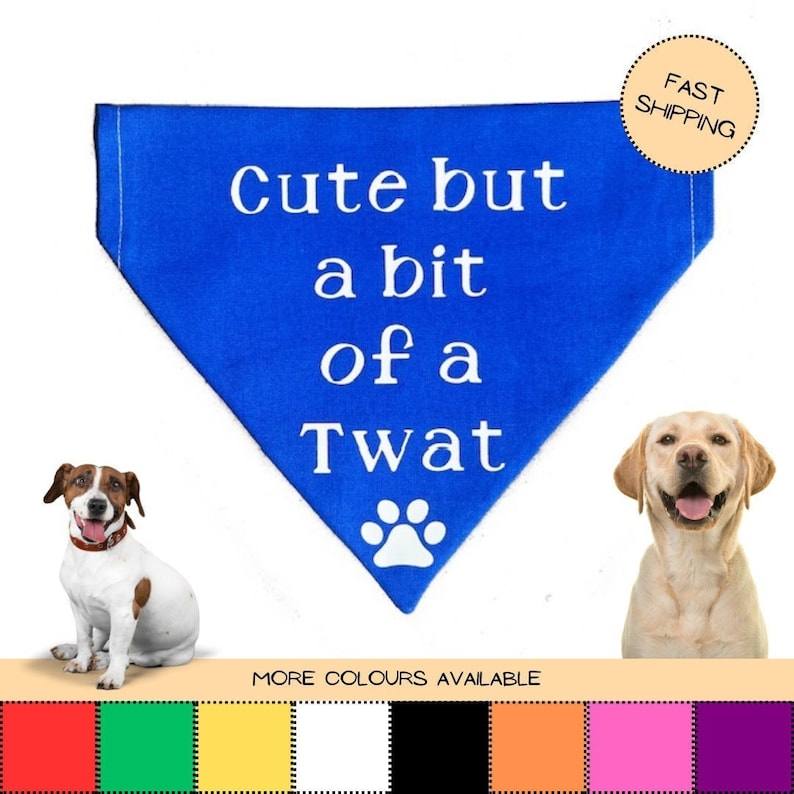 Puede incluir: Bandana azul para perro con una huella de pata blanca y el texto "Cute but a bit of a Twat". La bandana se muestra sobre un fondo blanco con dos perros.