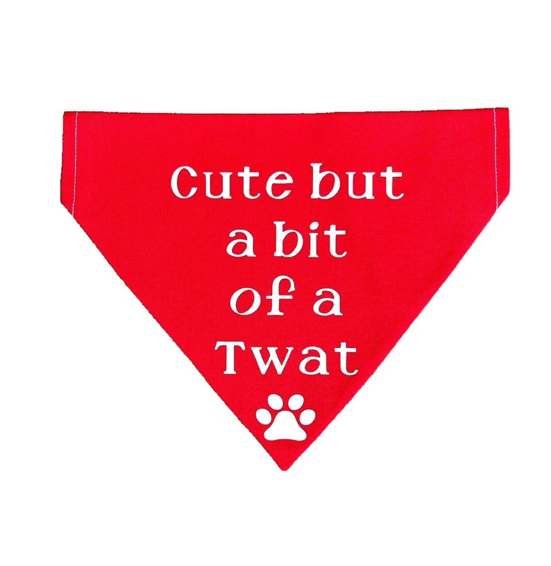 Puede incluir: Bandana roja para perro con texto blanco que dice "cute but a bit of a twat" y una huella de pata blanca.