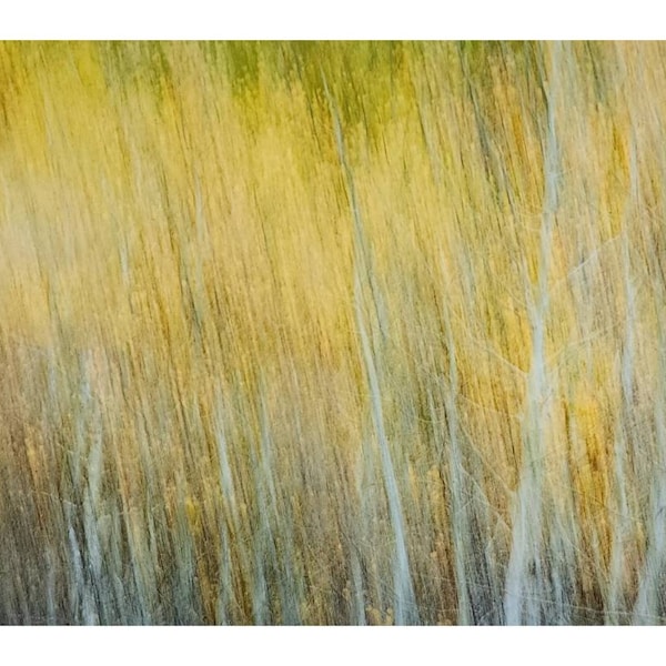 Fine Art Photography Etsy