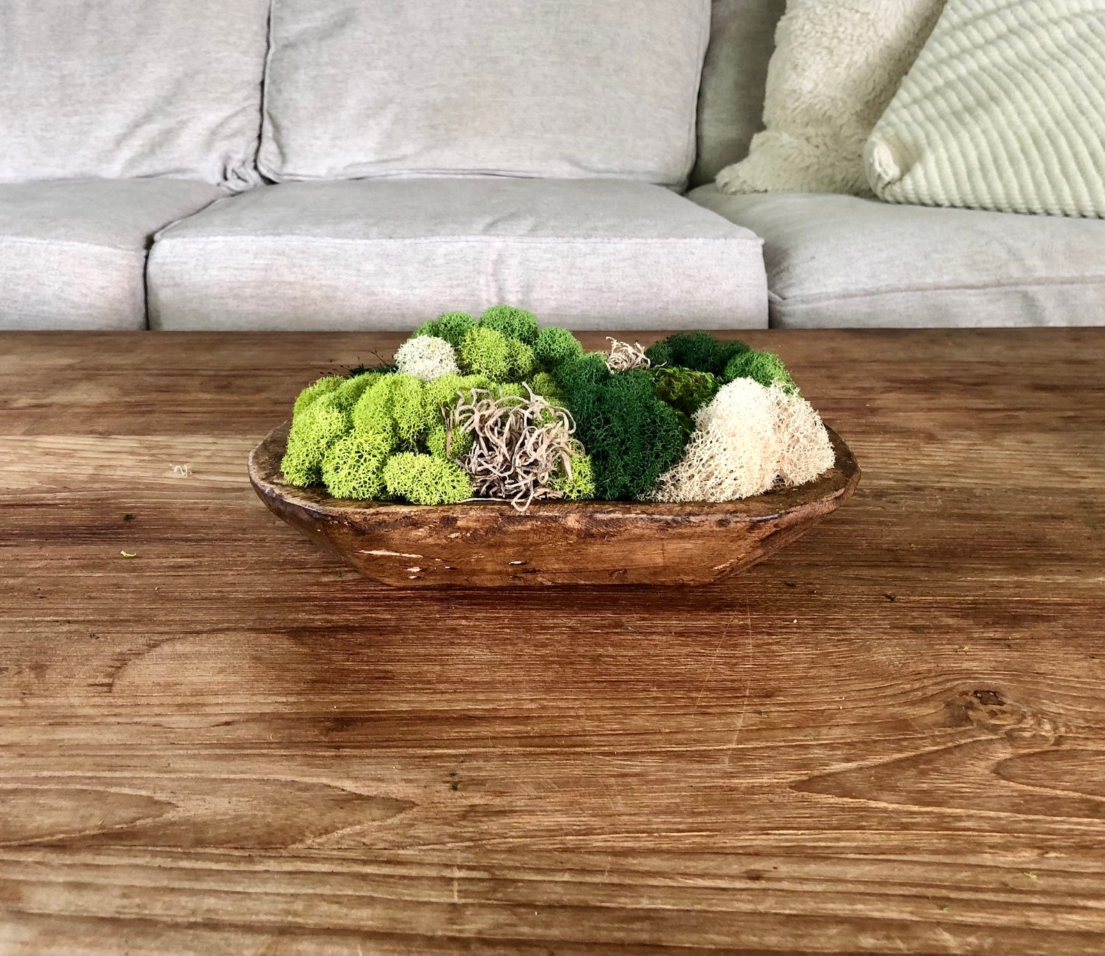 Rustic moss bowl preserved natural living decor nature Etsy