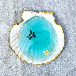 Sea turtle and plumeria ocean beach seashell dish- unique birthday catch all for jewelry , change, crystals or more. 4-5”. Real shell