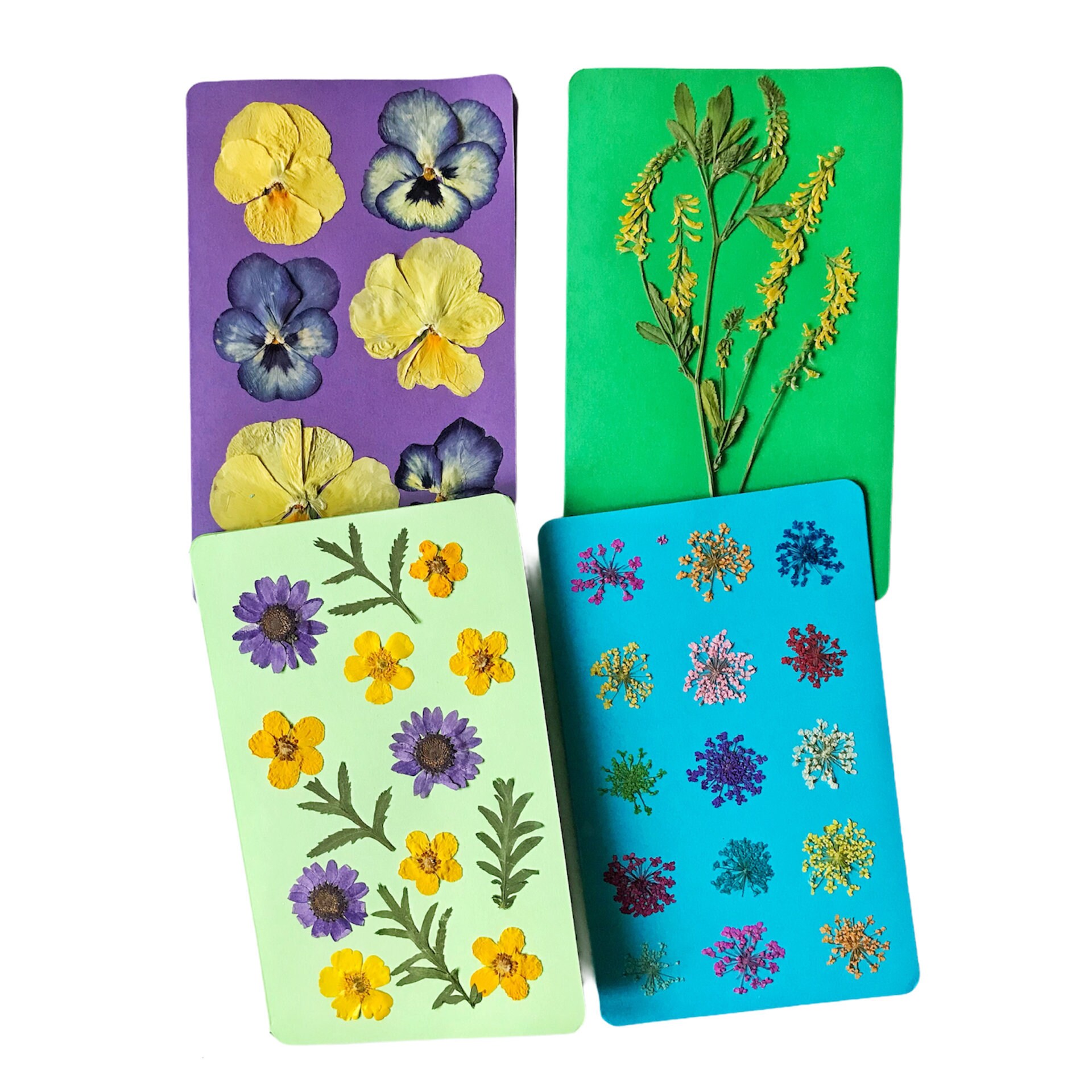 Handmade cards Pressed flower cards Greeting Cards Etsy