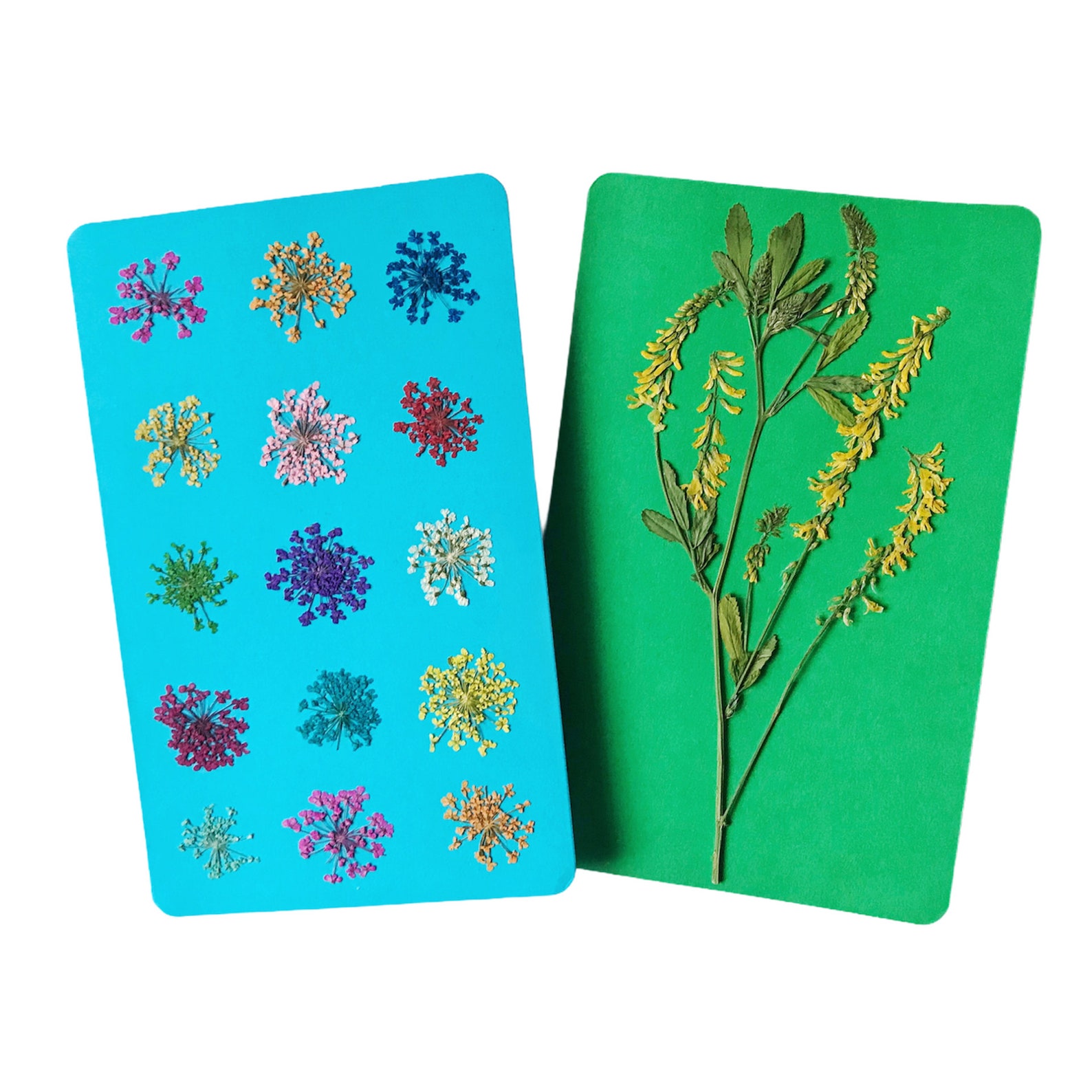 Handmade cards Pressed flower cards Greeting Cards Etsy