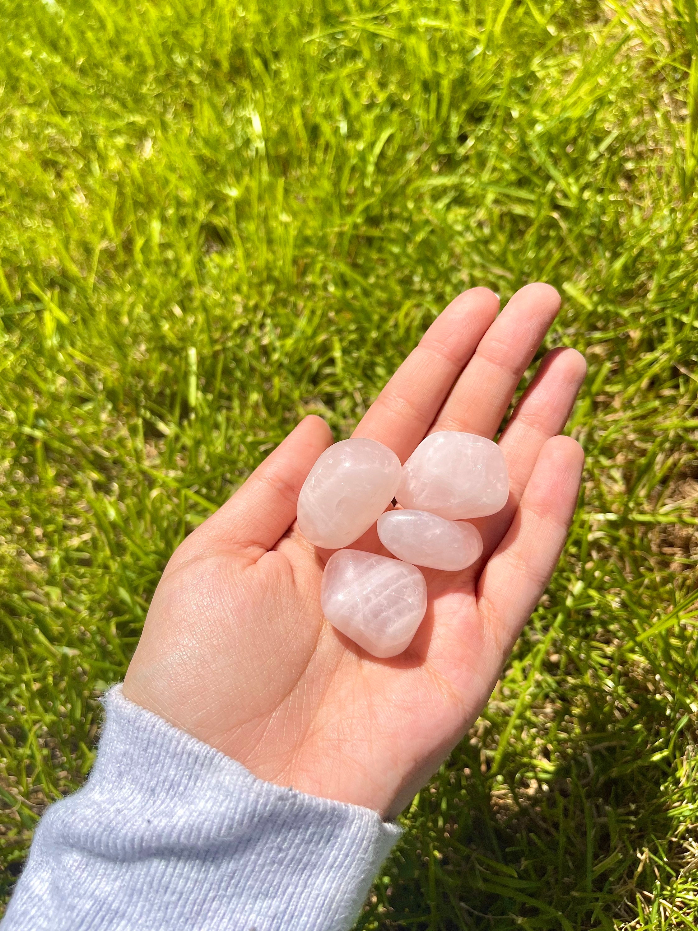EXTRA SMALL tumbled rose quartz, (brazil)