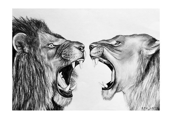 Lion and Lioness Graphite Pencil Sketch - Etsy