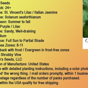 St. Vincent's Lila AKA: Jazmín italiano, Vid de patata Solanum seaforthianum 24 Seeds De EE.UU. imagen 8