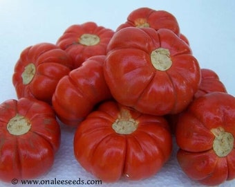 WICKEDLY BEAUTIFUL Ruffled Red Pumpkin Tree Seeds,  Solanum Integrifolium, Sun and heat lover. Cut flowers, Fall decor. (24+ Seeds) USA