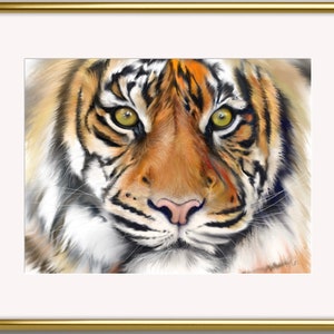 Tiger Gaze Art Print: Original Wild Animal Painting, Home Decor