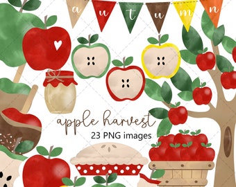 Fall Clipart, Watercolor Apple Clipart, Apple PNG, Autumn Clipart, Autumn Harvest, Back to School Clipart, Caramel Apples, Commercial Use