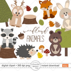 Woodland Animals Clipart, Forest Animals PNG, Cute Bear Bunny Fox Hedgehog Deer Raccoon, Woodland Nursery, Commercial Use, Instant Download