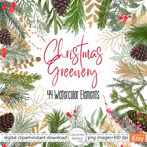 Christmas Watercolor Greenery, Pine Clipart, Christmas Greenery, Leaves Clip Art, Pine Cones, Berries, Commercial Use, Instant Download,PNG