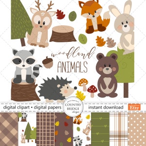 Woodland Animal Clipart & Digital Paper Bundle, Forest Animal PNG, Forest Animal Paper, Planners, Stickers, Commercial Use, Instant Download