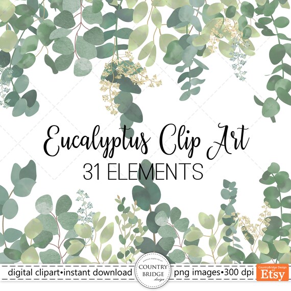 Watercolor Eucalyptus Leaves Watercolor Eucalyptus Greenery - Etsy Finland